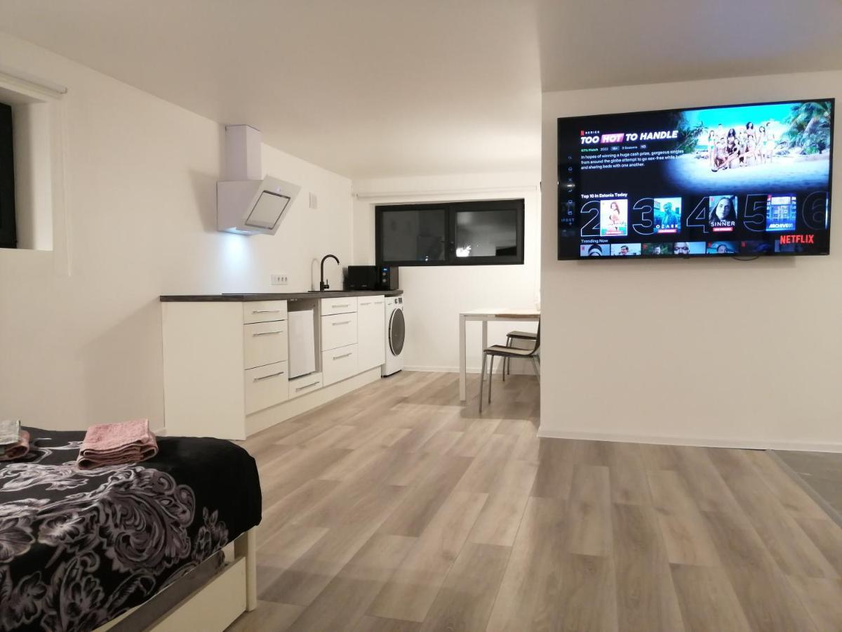 Luxury Apartment Private House And Parking Netflix ตาร์ตู ภายนอก รูปภาพ
